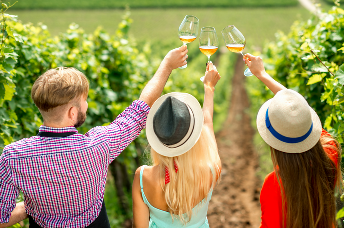 Sipping Sweetness: The Beginner's Guide to Sugar-Free Wines
